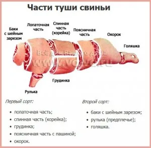 Клаха схема прасе спиране на кланични трупове от свине и съвети майстори