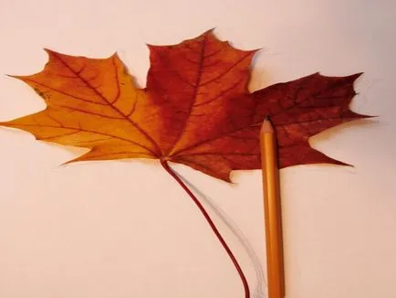 Döntetlen a gyerekek őszi levelek akvarell (inkrementális fotók)