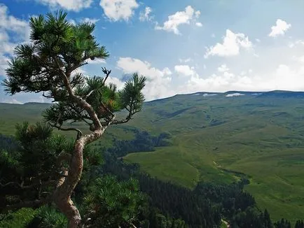 A legszebb helyeit adigeföld (fotó)