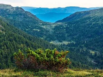 A legszebb helyeit adigeföld (fotó)