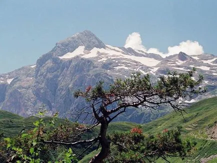 Cele mai frumoase locuri din Adygea (foto)