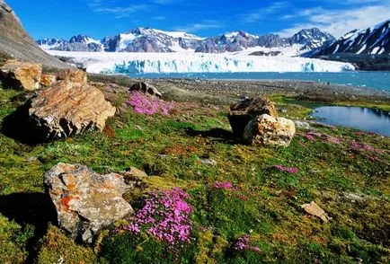 Svalbard - Útikalauz, fotók, épületek