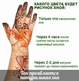 Как да задържите къна mehendi по ръцете, тялото, полезни съвети за това как да запазите картината за по-дълго