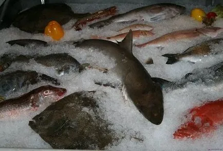 Как да запазим рибата в хладилника правила, условия и особености