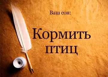 Тълкуване на сънища фуражни птици хляб с ръцете си в съня си, за да видите какво се превръщат мечтите