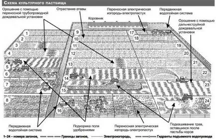 Sfaturi novice ameliorator cum să agricultura profitabilă