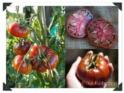 Soiuri de tomate cu fructe închis și negru colorate