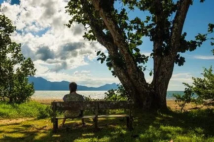 Articole - Ce să vezi în Borneo Kuching!