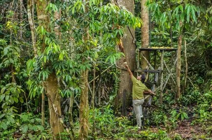 Articole - Ce să vezi în Borneo Kuching!