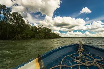 Articole - Ce să vezi în Borneo Kuching!