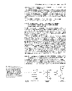 A kloroplasztisz stroma - útmutató vegyész 21