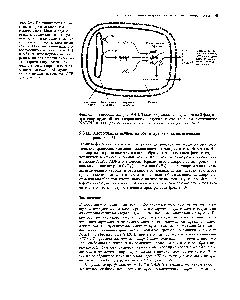 Cloroplastelor Stroma - ghid de chimist 21