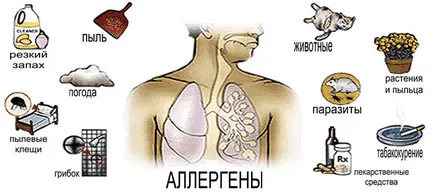 астма атопичен, алергичен, кашлица