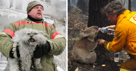 Fotografii pompieri curajos salvare animale de foc