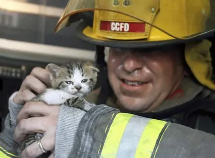 Fotografii pompieri curajos salvare animale de foc