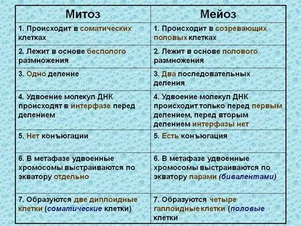 Гаметогенезата и мейоза цитологично и цитогенетичен характеристика