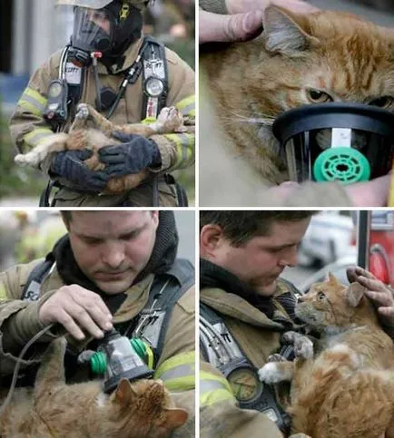 Fotografii pompieri curajos salvare animale de foc