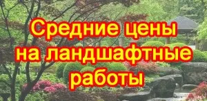 Shade în grădină, plante pentru umbră, o plantă care crește în umbră, precum și în cazul în care pentru a planta, peisajului,