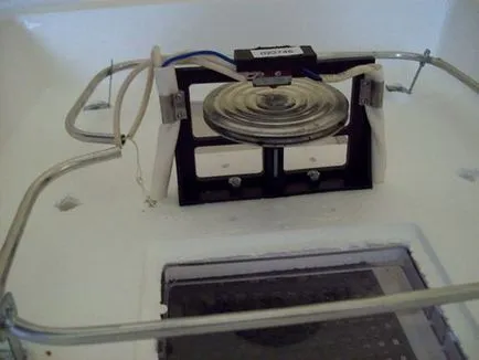 A termosztát az inkubátorban kezét rajz, fotó és videó használati