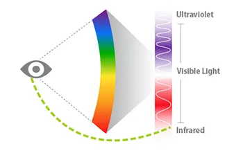 Учените обясняват, как човешкото око може да види инфрачервена светлина