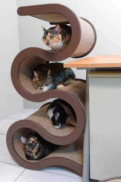 Kényelmes bútorok háziállatoknak