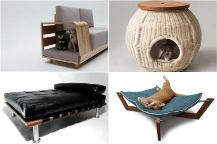 Kényelmes bútorok háziállatoknak