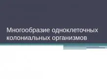 Урок за Ева - лято - представяне на началното училище