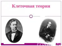 Урок за Ева - лято - представяне на началното училище