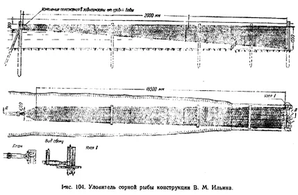 Az számának csökkenése a kis értékű faj hal a tóban