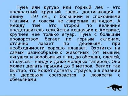 Урок представяне на бездомни котки - свободно изтегляне