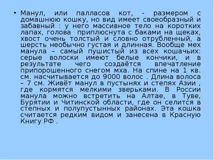 Урок представяне на бездомни котки - свободно изтегляне