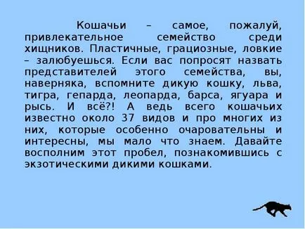 Урок представяне на бездомни котки - свободно изтегляне