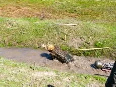 Întotdeauna credincios „- Nikolaev militare testate pentru berete negre, nikvesti