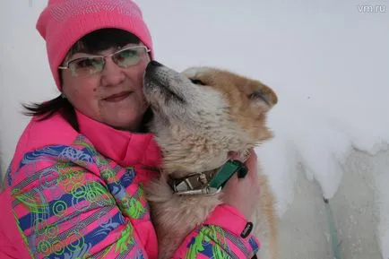 Este Budapest - BM ellátogatott a kennel, ahol a kutyák tenyésztik Akita Inu, mint elnök