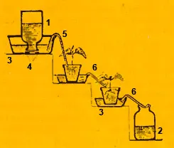 Cultivarea plantelor hidroponice