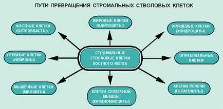 Регенеративен терапии за бъдещето, науката и живота