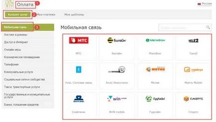 Webmoney, încărca telefonul mobil, modul de a face bani pe site-ul dvs.