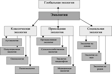 Въведение, каква е структурата на съвременната екология като наука за съвременни концепции екология