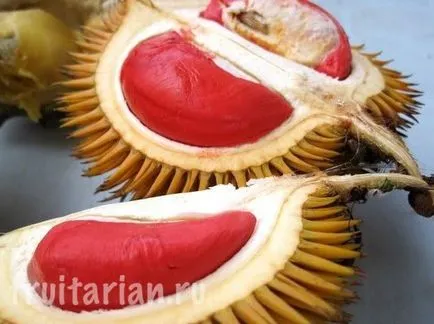 All-all-totul despre Durian