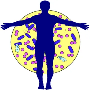 Genetic Immunity kialakulása, típusai, jellemzői, elemei,