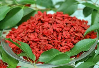 Goji Berry utilizate în medicină