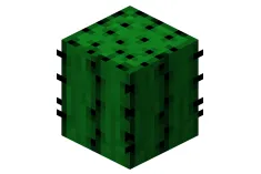 De ce am nevoie de un cactus în Minecraft, în cazul în care să-l găsiți