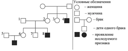 Проблеми с родословие