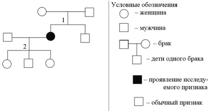 Проблеми с родословие