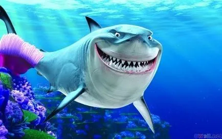 16 lucruri interesante despre desene animate „Finding Nemo“