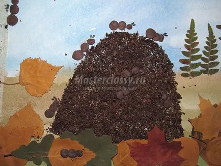 Alkalmazása természetes anyagok - hangyaboly ősz