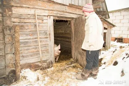 case gratuite pentru muncitorii din ferme colective din Belarus, sfaturi roșu