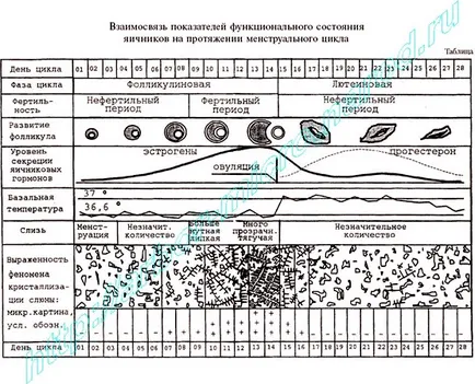 Основна температура в ануса - какво означава това