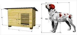 Fülkék Husky Alabai és a választott helyszín és méretű, így kennel