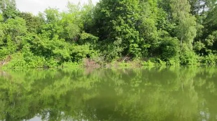 Grădina Botanică Vilar în nordul Butovo